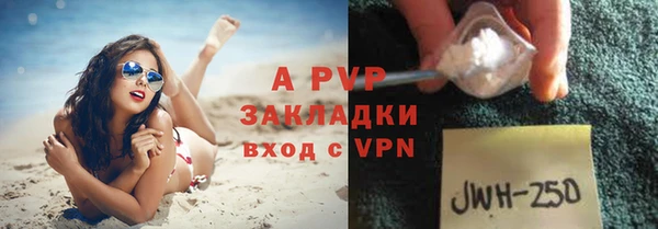 прущие грибы Коряжма
